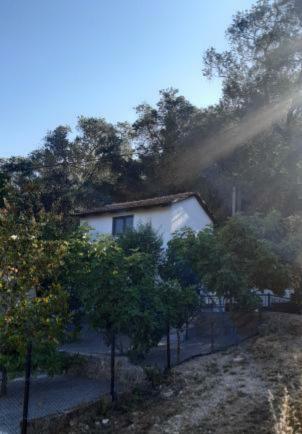 White Manolia Cottage Kato Korakiana Bagian luar foto